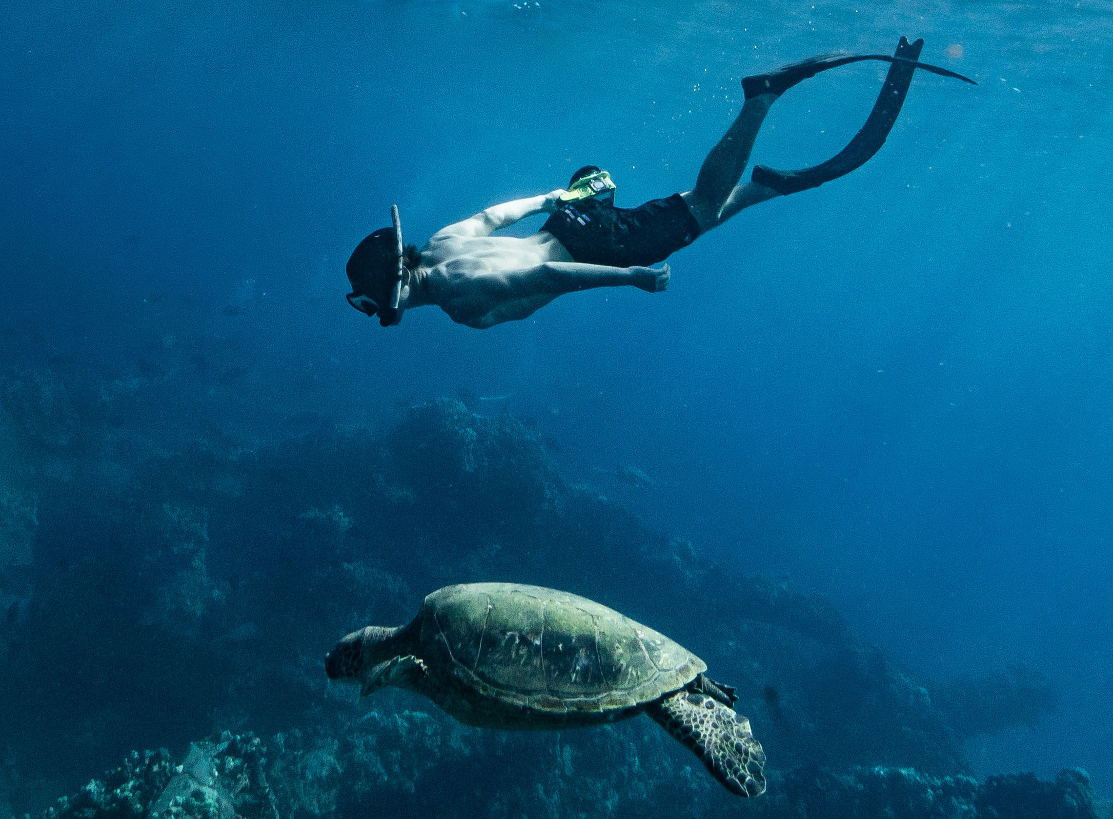 a man snorkeling with a turtle