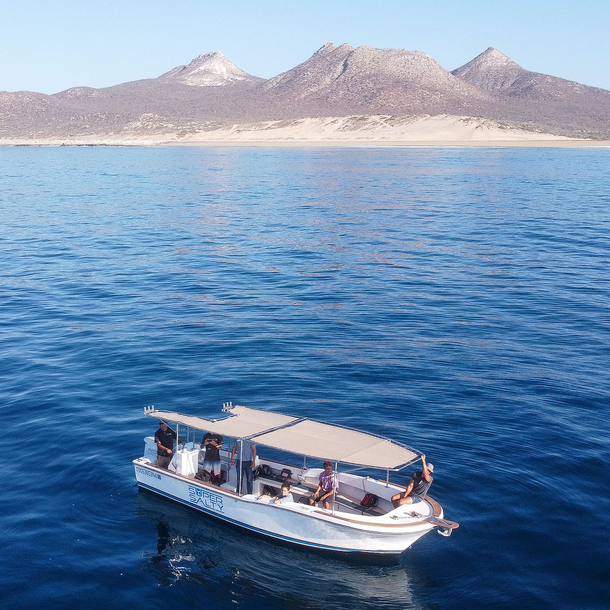 cabo boat charters