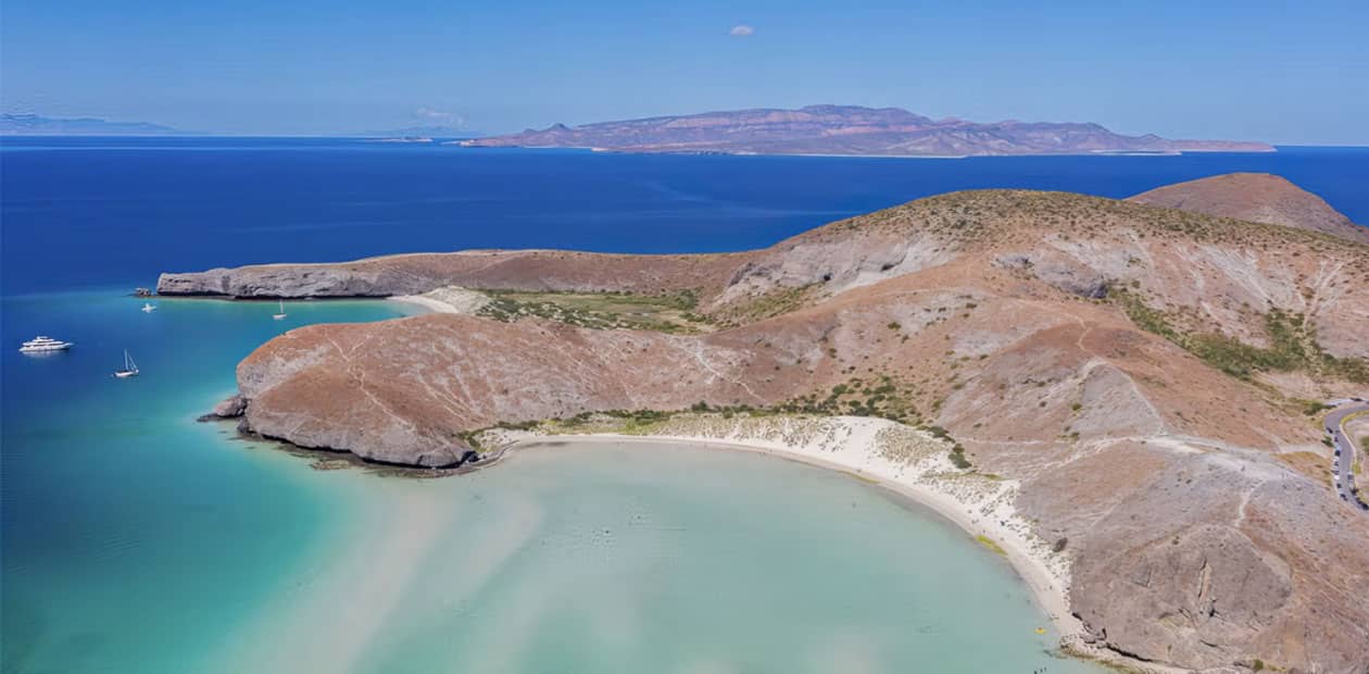 Snorkeling with Sea Lions from Cabo to La Paz