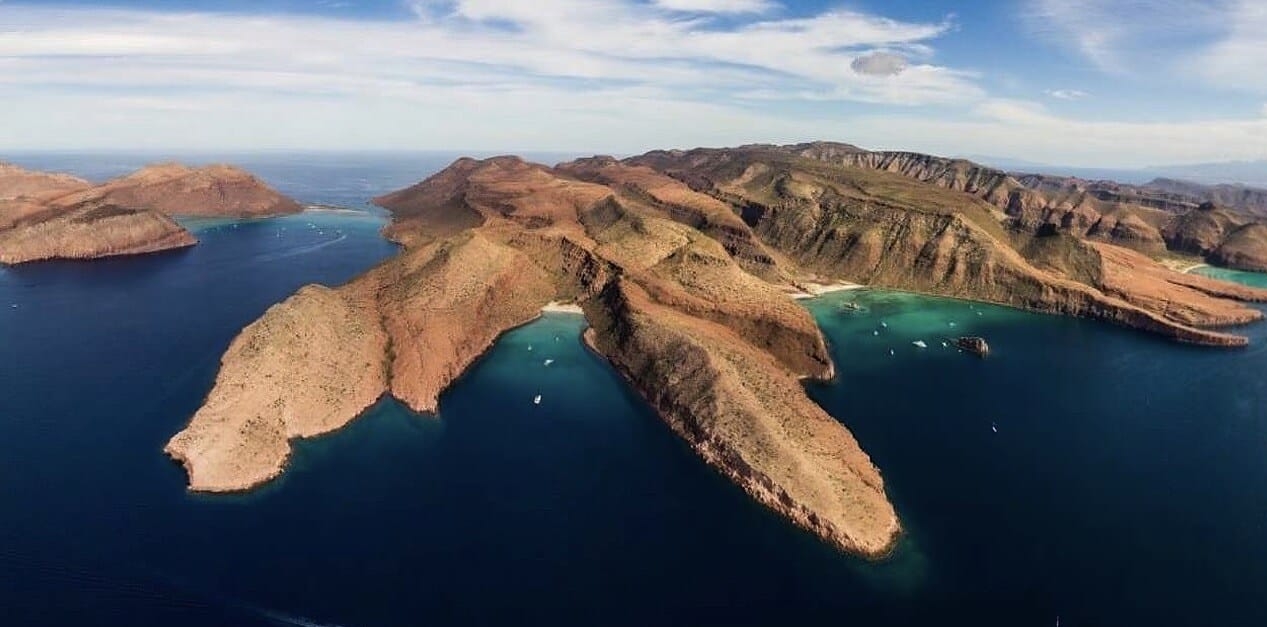 Snorkeling with Sea Lions from Cabo to La Paz tour